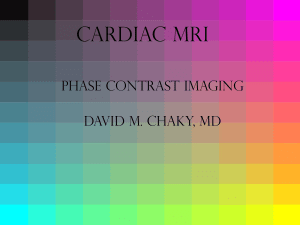 Cardiac MRI chaky 3