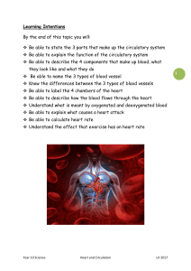 Heart and Circulation booklet KS3