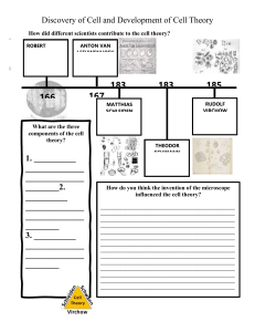 Discovery of Cell and Development of Cell Theory Worksheet