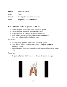 Respiration Worksheet 