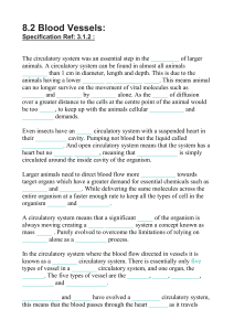 8.2 Blood Vessels