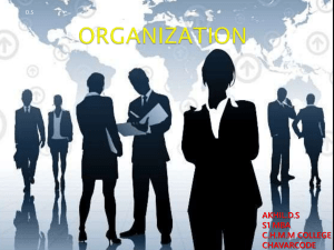 organizaation