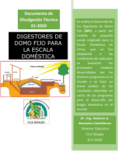 Desarrollo de DDF para la Escala Doméstica - DT-01-2020 (06-03-2020) VFrev