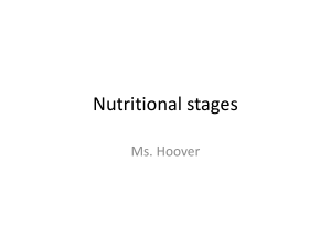 Nutritional stages of livestock