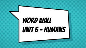 Word Wall Unit 5 Humans