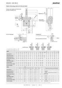 mb gs3 50 125 fuss hebel de