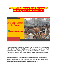 TERBAIK, Harga Sapi Qurban Di Depok, WA 087880643713