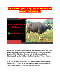 TERBAIK, Jual Sapi Qurban Depok, WA 087880643713