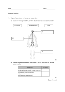Test Form 2 Stimuli and Response PDF