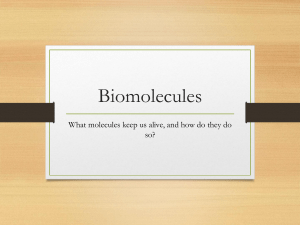 Biomolecules 2017