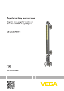 44905-EN-Supplementary-instructions-VEGAMAG-81