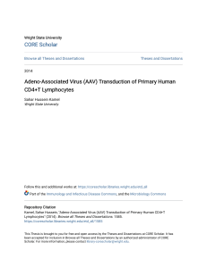 Adeno-Associated Virus (AAV) Transduction of Primary Human CD4+T