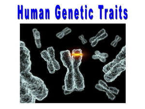 033 Human Genetics