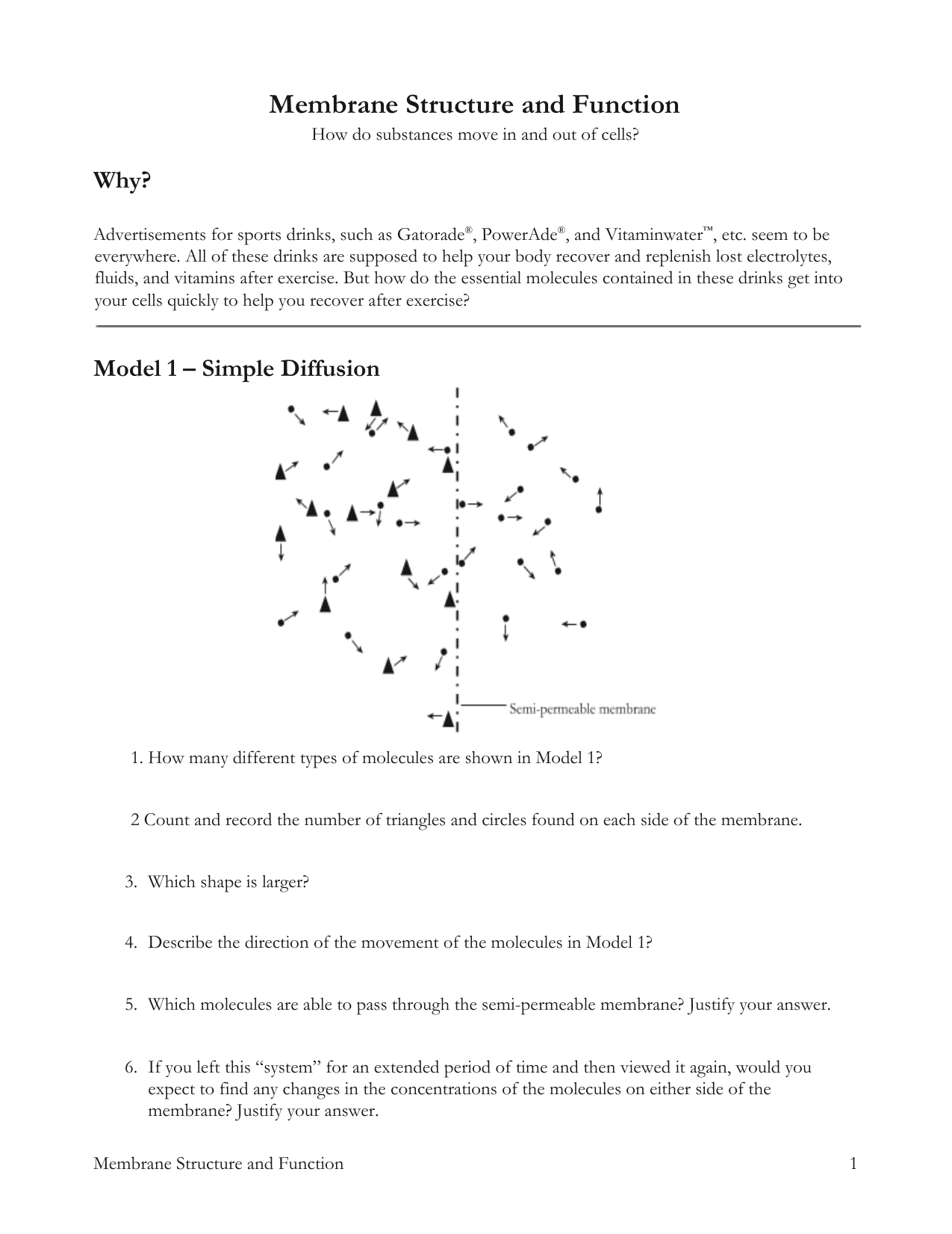 Michael Bass - Membrane Structure and Function Worksheets Pertaining To Membrane Structure And Function Worksheet