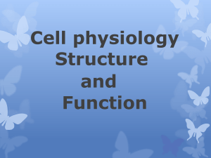 cell physiology