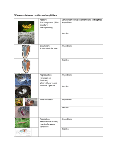 Differences between reptiles and amphibians