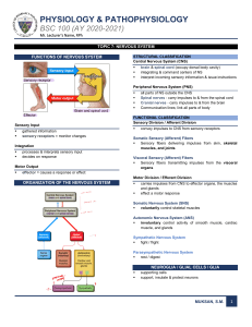 Nervous System Physiology Lecture Notes