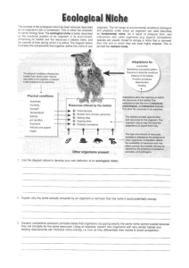 Ecological Niches Worksheet