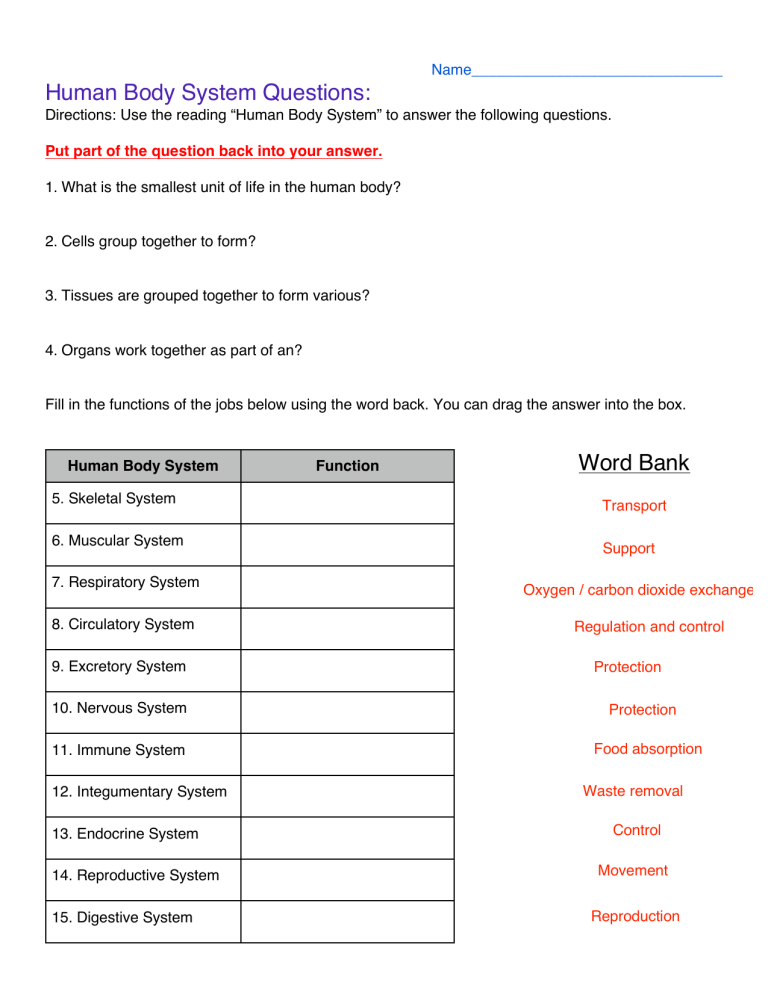 body-systems-work-together-worksheet