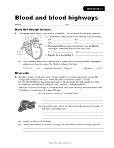Blood Highways