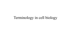 Terminology in cell biology
