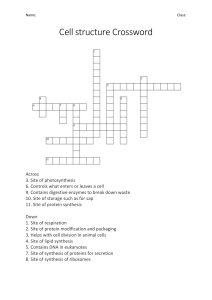 Cell structure Crossword
