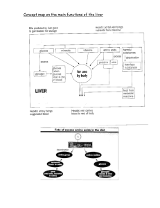 Concept map on the main functions of the liver