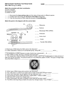 dna-transcr-transl unit study guide -1 (1)