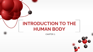 CHAPTER 1- INTRODUCTION TO THE HUMAN BODY