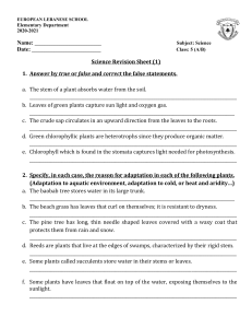 Revision Sheet (1) Gr.5