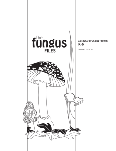 thefungusfiles