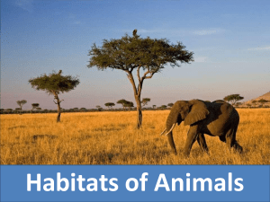 habitats of animals