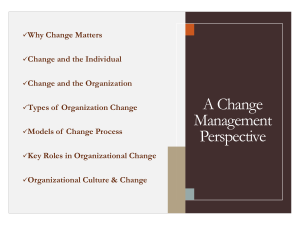A Change Management Perspective