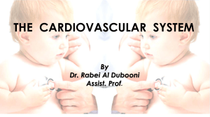 The cardiovascular system pdf