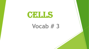 Cells Vocab Cards #3