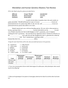 Mendelian and Human Genetics Mastery Test Review Biology I