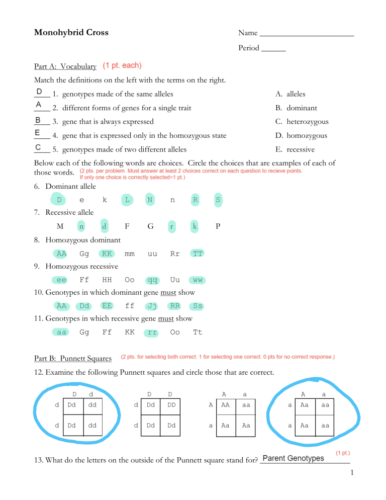 Monohybrid Cross Activity Sheet Key 