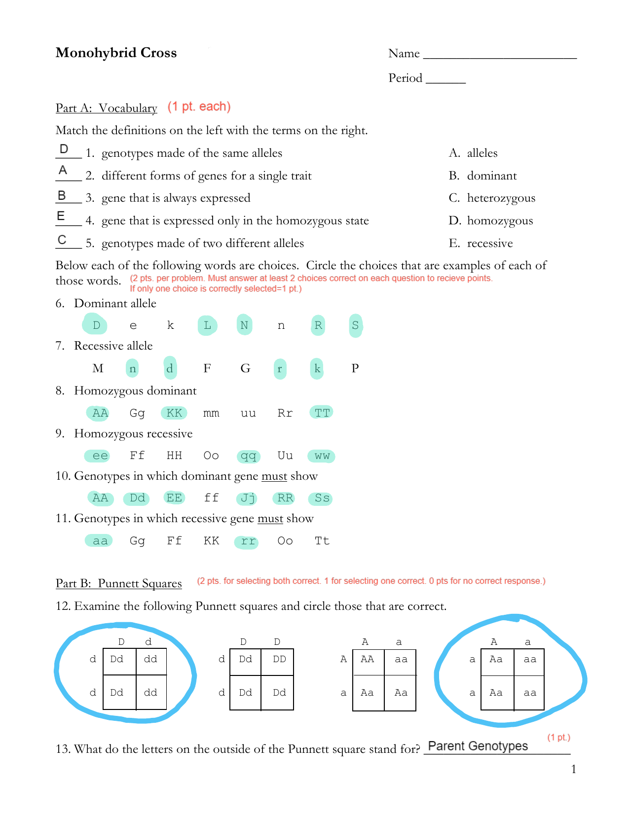 Monohybrid Cross Activity Sheet (Key) In Monohybrid Cross Practice Problems Worksheet