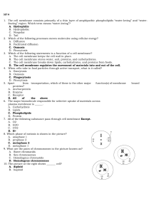 GEN BIO QUIZ