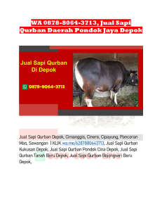 WA 0878-8064-3713, Jual Sapi Qurban Daerah Pondok Jaya Depok