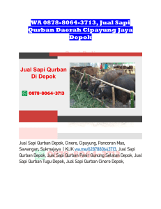 WA 0878-8064-3713, Jual Sapi Qurban Daerah Cipayung Jaya Depok