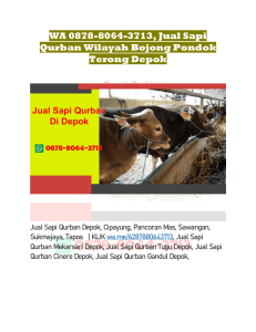WA 0878-8064-3713, Jual Sapi Qurban Wilayah Bojong Pondok Terong Depok