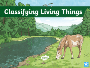 G5-Week 6-Session 2(classifying living things)
