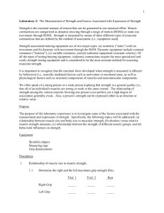 Strength Measurement Lab: Muscle Size, Relative Strength, and Behavior
