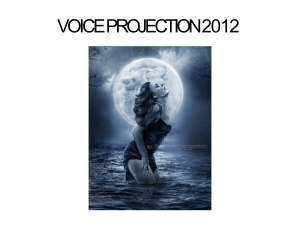 voiceprojection2012-140310090145-phpapp01-converted