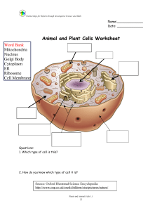cells practice worksheet 2
