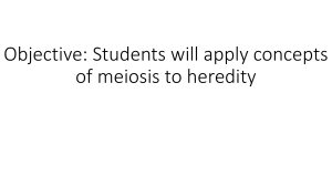 Connecting Meiosis to Heredity