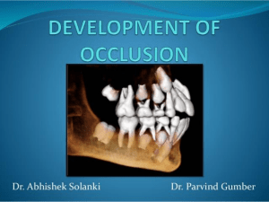 Development of Occlusion