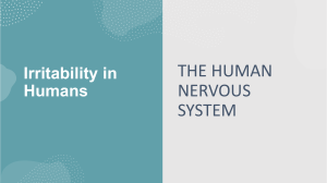 IRRITABILITY IN MAN - THE HUMAN NERVOUS SYSTEM