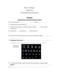 Ch. 10 outline meiosis